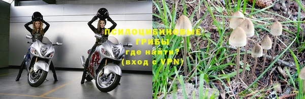 стаф Покачи